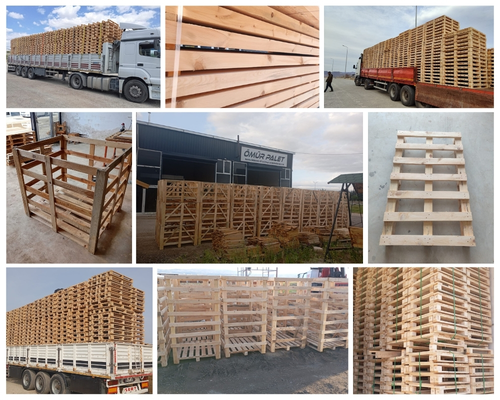Cruquius Houten Kisten, Europallets Groothandel Kopen